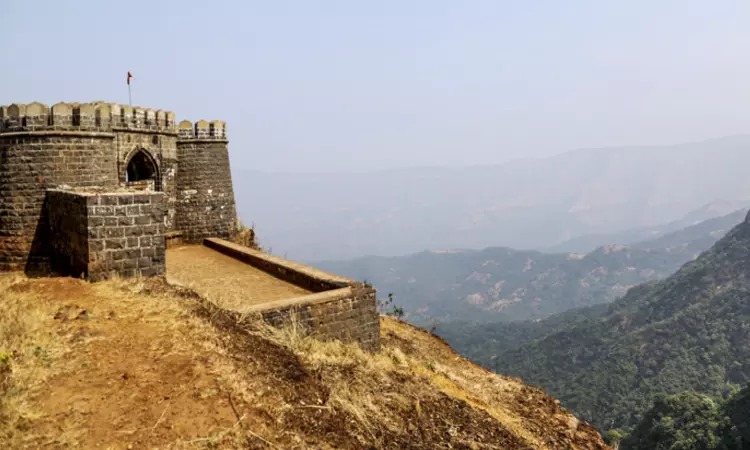 Bharat Samachar TV | 