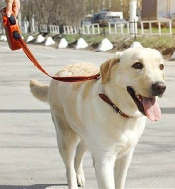 Bharat Samachar TV | 